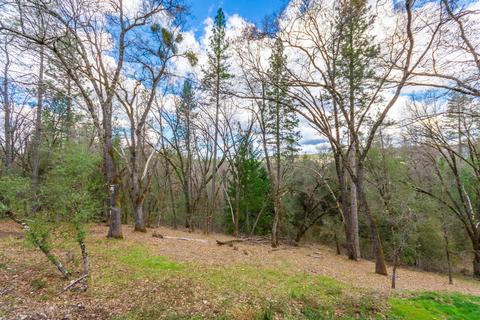 4485 Big Cut Rd, Placerville, CA 95667 photo 36