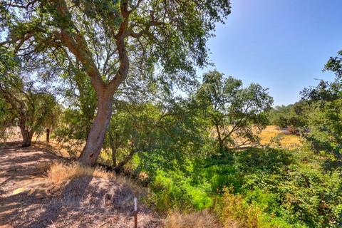 9131 Dillard Rd, Wilton, CA 95693 photo 64