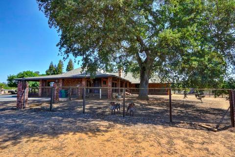 9131 Dillard Rd, Wilton, CA 95693 photo 40