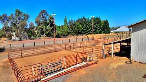 9131 Dillard Rd, Wilton, CA 95693 photo 49