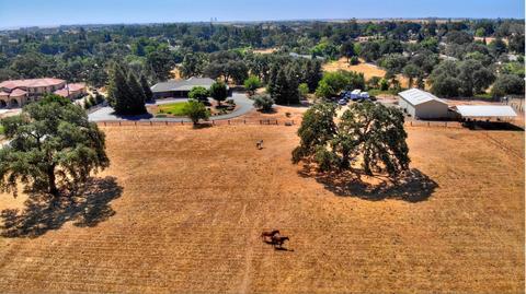 9131 Dillard Rd, Wilton, CA 95693 photo 60
