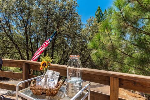 12901 Spagnoli Mine Rd, Pine Grove, CA 95665 photo 48