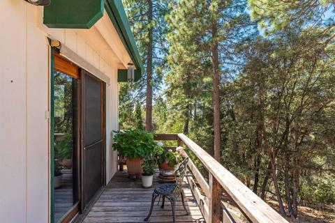 12901 Spagnoli Mine Rd, Pine Grove, CA 95665 photo 7