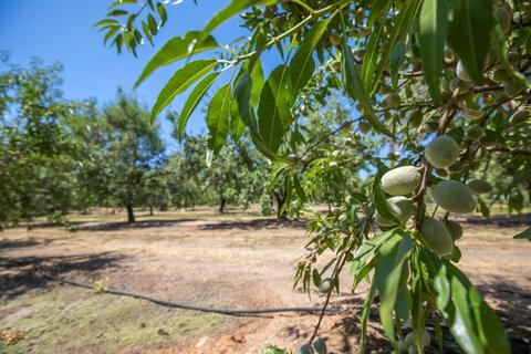 20731 E Keyes Rd, Denair, CA 95316 photo 7