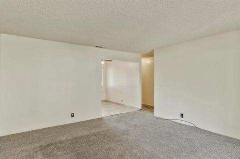 1019 Agate Ave, Manteca, CA 95336 photo 14