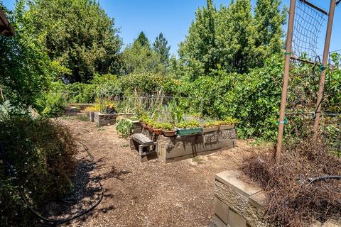 15736 Butte Mountain Rd, Jackson, CA 95642 photo 14