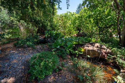 15736 Butte Mountain Rd, Jackson, CA 95642 photo 40