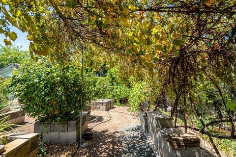 15736 Butte Mountain Rd, Jackson, CA 95642 photo 13