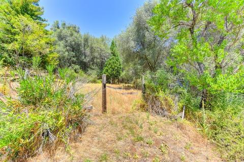 18000 Hale Rd, Volcano, CA 95689 photo 13
