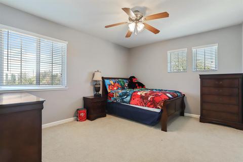 157 Ruess, Ripon, CA 95366 photo 38
