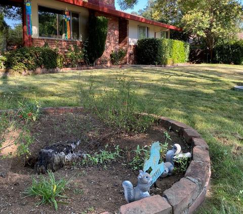 6662 Long Ave, Placerville, CA 95667 photo 4