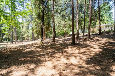 10844 Cedar Ave, Grass Valley, CA 95945 photo 30