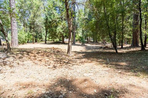 10844 Cedar Ave, Grass Valley, CA 95945 photo 29