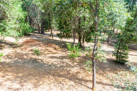 10844 Cedar Ave, Grass Valley, CA 95945 photo 31