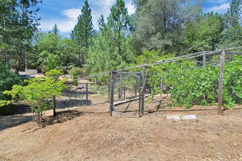 1651 Kearns Rd, Placerville, CA 95667 photo 47