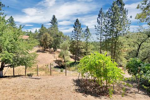 1651 Kearns Rd, Placerville, CA 95667 photo 49