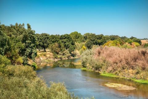 2425 River Rd, Modesto, CA 95351 photo 14