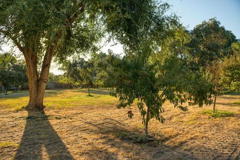2425 River Rd, Modesto, CA 95351 photo 71