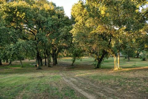 2425 River Rd, Modesto, CA 95351 photo 19
