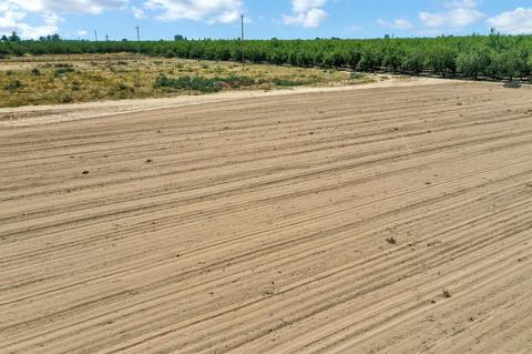 19693 Sexton Rd, Escalon, CA 95320 photo 36