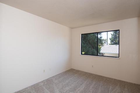 446 Sultana Ct, Ripon, CA 95366 photo 33
