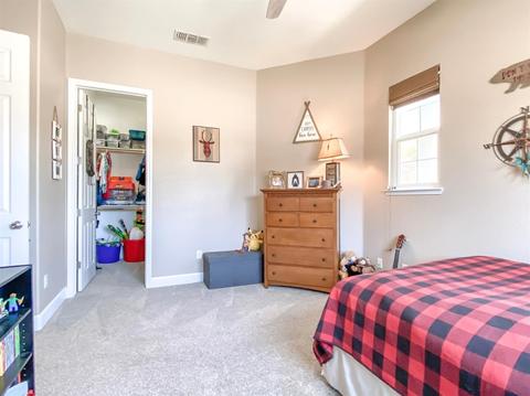 1743 Limestone Dr, Ripon, CA 95366 photo 35
