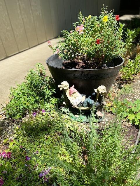 3401 Bermuda Ave # 15, Davis, CA 95616 photo 23