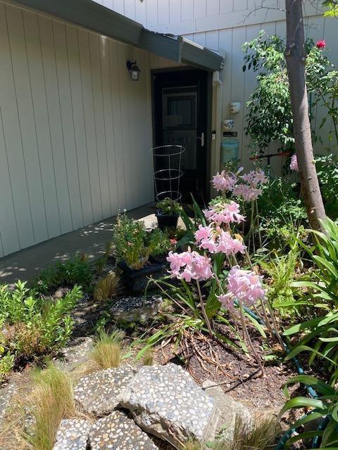 3401 Bermuda Ave # 15, Davis, CA 95616 photo 5