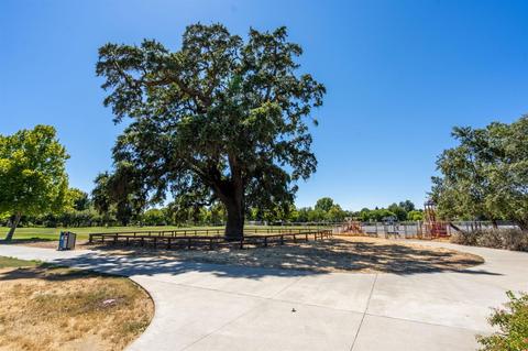 3629 Nido Ter, Davis, CA 95618 photo 20