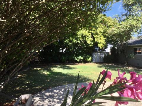 3009 Scenic Dr, Modesto, CA 95355 photo 57