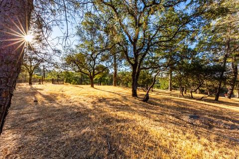 2521 Fork House Ct, Cool, CA 95614 photo 46