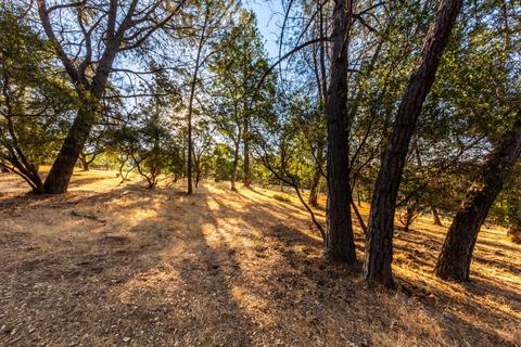 2521 Fork House Ct, Cool, CA 95614 photo 44