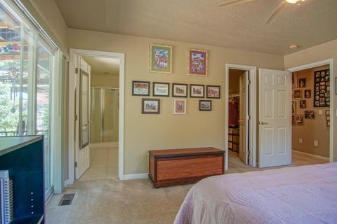 1225 Crow Haven Ct, Colfax, CA 95713 photo 13