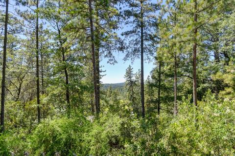 154 Hillside Dr, Applegate, CA 95703 photo 35