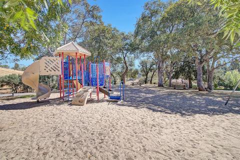 1733 American River Trl, Cool, CA 95614 photo 35