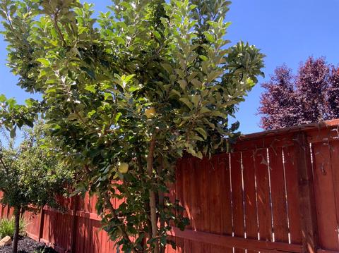 9345 Jacks Pl, Patterson, CA 95363 photo 41