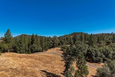 7334 Colton Flat Rd, Mountain Ranch, CA 95246 photo 14