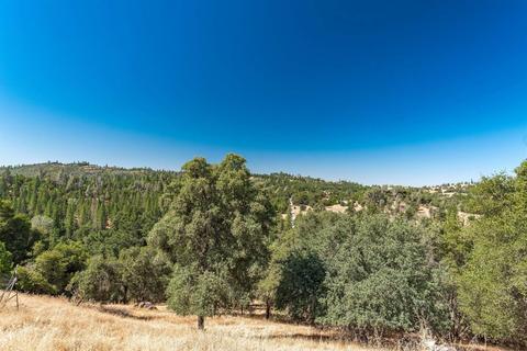 7334 Colton Flat Rd, Mountain Ranch, CA 95246 photo 90