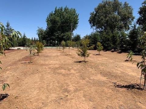 8450 Berry Rd, Wilton, CA 95693 photo 24