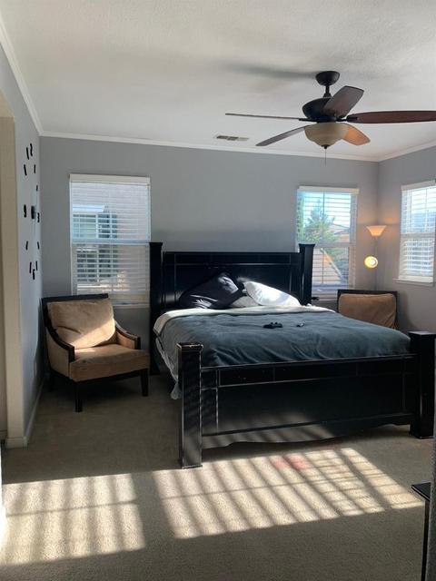 17218 Stony Brook Ln, Lathrop, CA 95330 photo 19