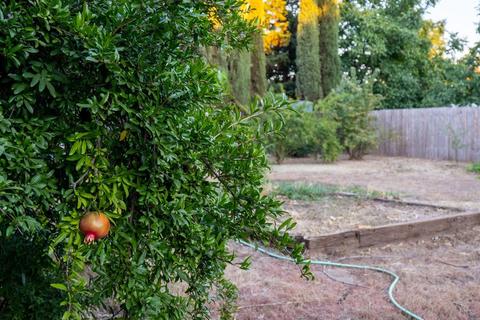 3078 Pennington Rd, Live Oak, CA 95953 photo 17