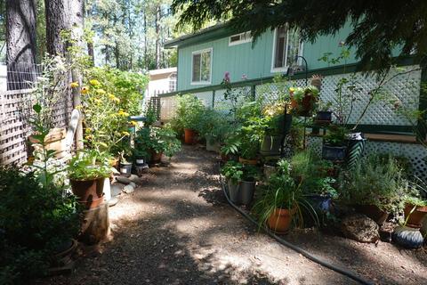 10085 Three Sevens Pl, Grass Valley, CA 95949 photo 13