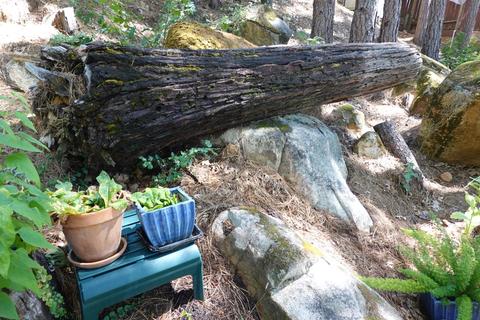 10085 Three Sevens Pl, Grass Valley, CA 95949 photo 8