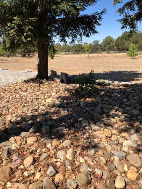 3910 Dickanson Ct, Burson, CA 95225 photo 12