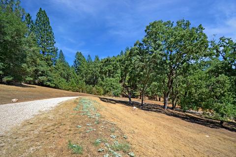 20331 Bertone Rd, Fiddletown, CA 95629 photo 7