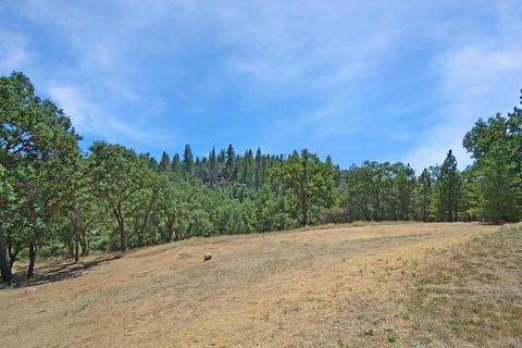 20331 Bertone Rd, Fiddletown, CA 95629 photo 9