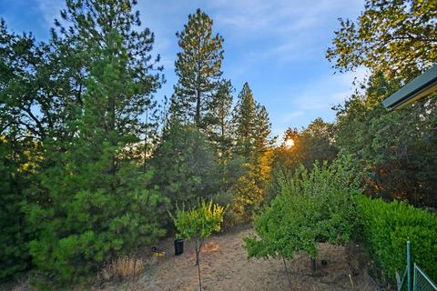 20331 Bertone Rd, Fiddletown, CA 95629 photo 3