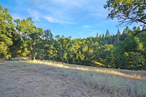20331 Bertone Rd, Fiddletown, CA 95629 photo 75