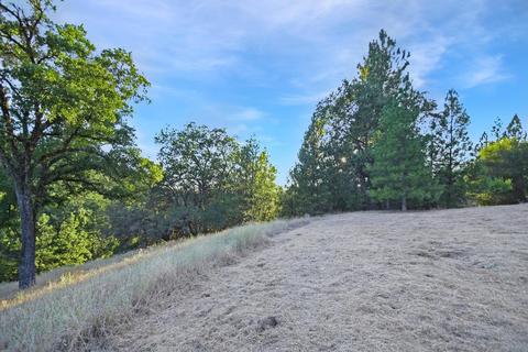 20331 Bertone Rd, Fiddletown, CA 95629 photo 77