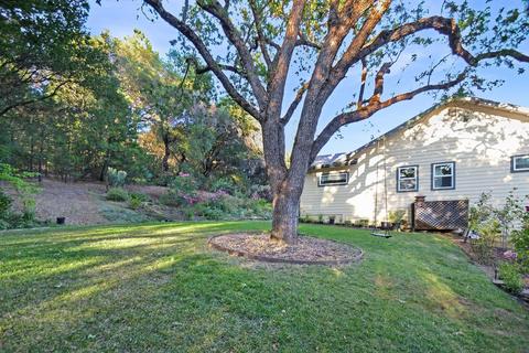 20331 Bertone Rd, Fiddletown, CA 95629 photo 69